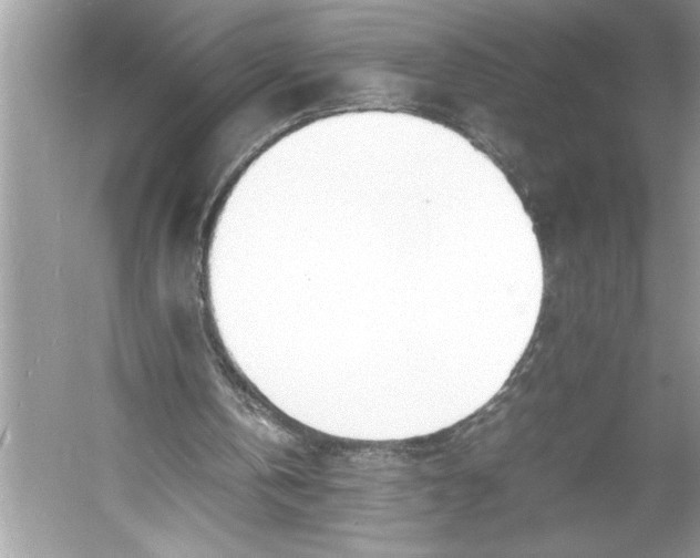 X0000052950146200508050931