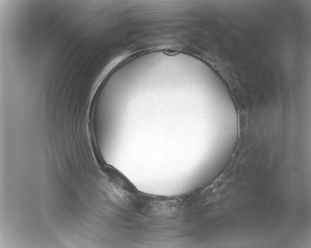 X0000052950147200508050931