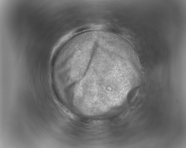 X0000052950149200508050931