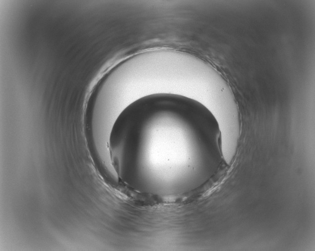 X0000052950150200508050931