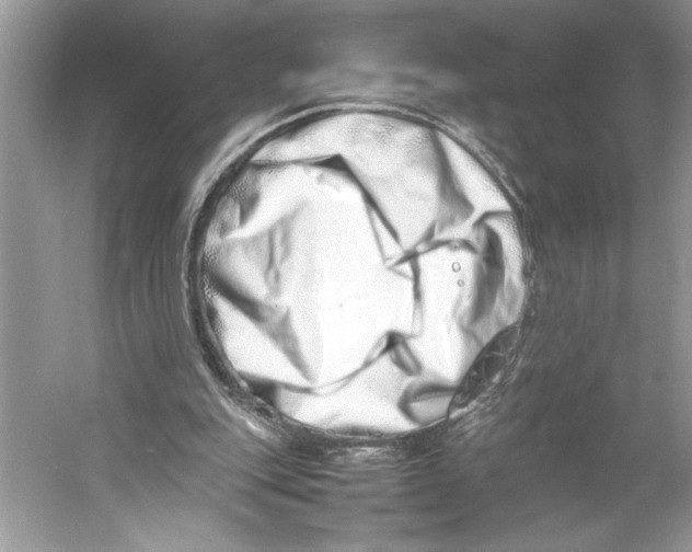 X0000052950151200508050931