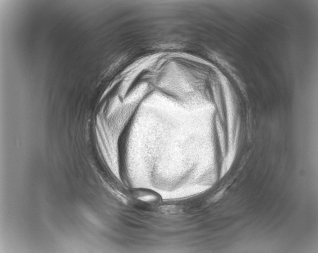 X0000052950153200508050931