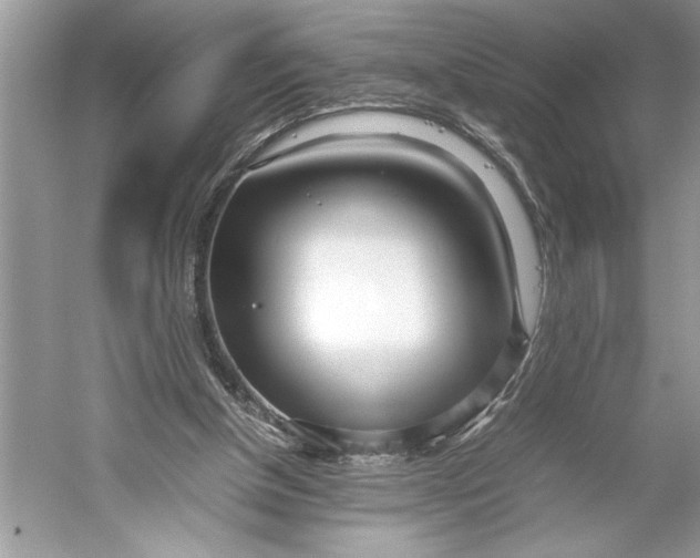 X0000052950154200508050931