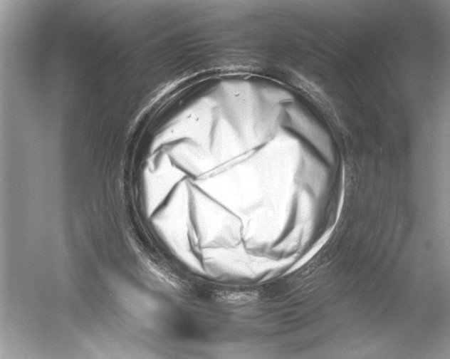 X0000052950155200508050931