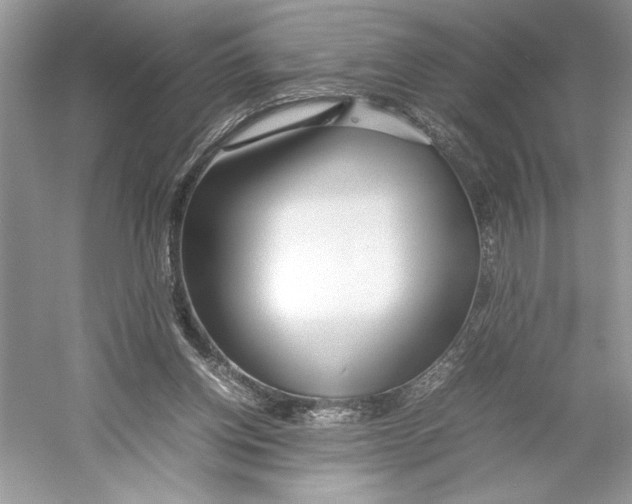 X0000052950158200508050931