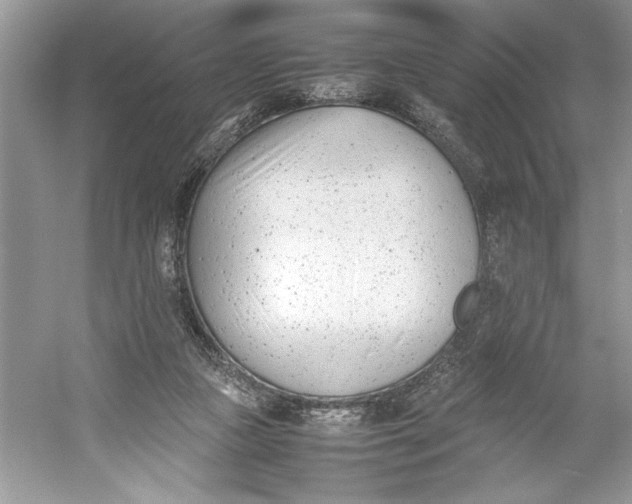 X0000052950161200508050931