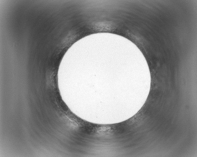 X0000052950162200508050931