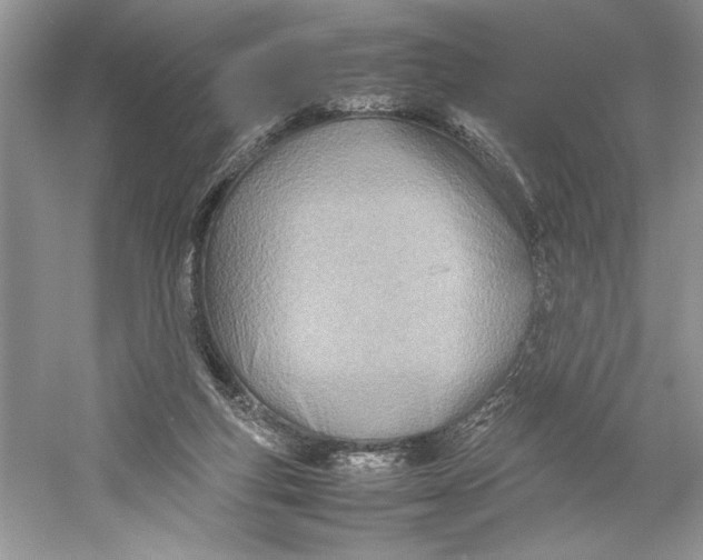 X0000052950163200508050931