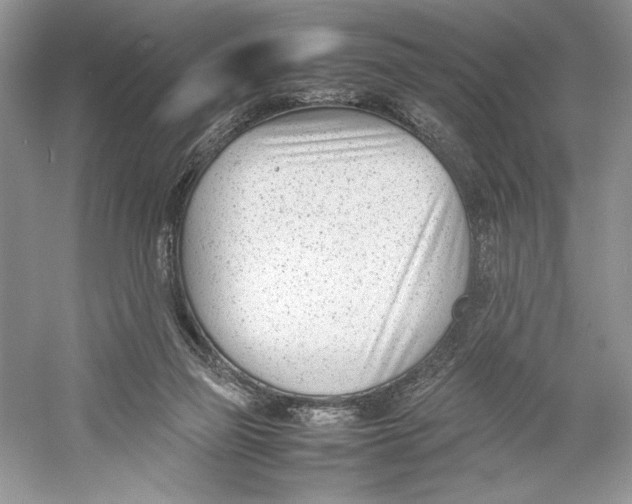 X0000052950165200508050931