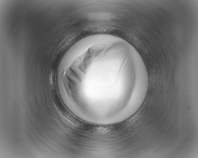 X0000052950166200508050931