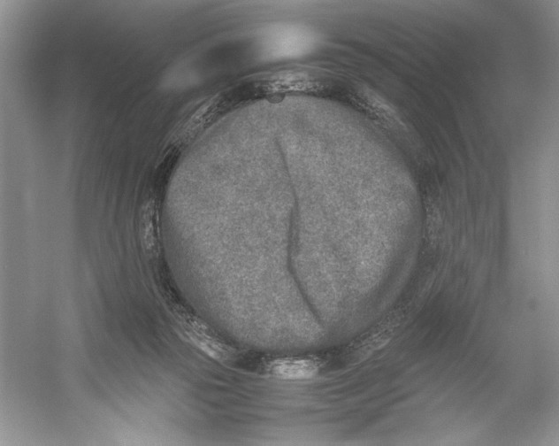 X0000052950169200508050931