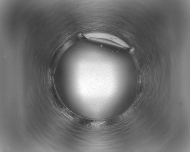 X0000052950172200508050931