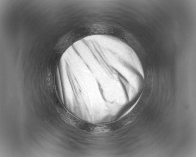 X0000052950173200508050931