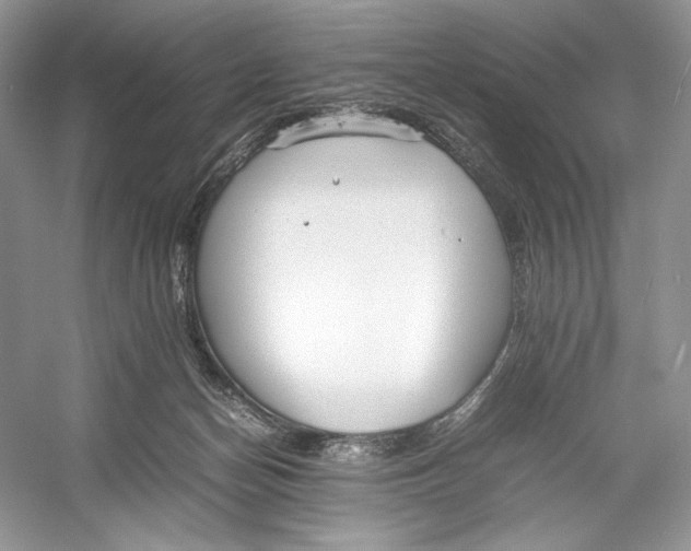 X0000052950174200508050931