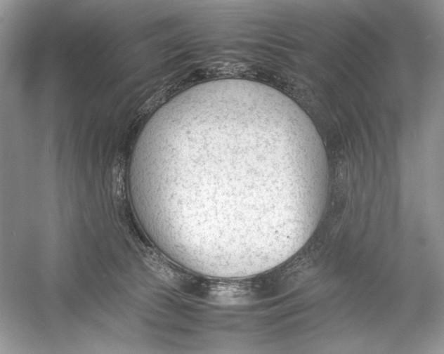 X0000052950177200508050931