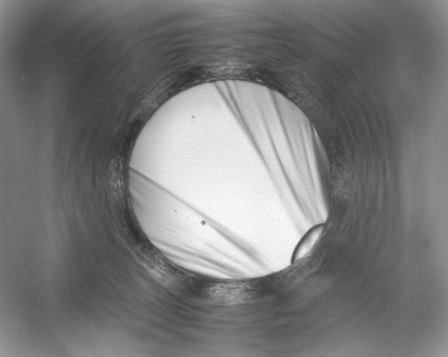 X0000052950179200508050931