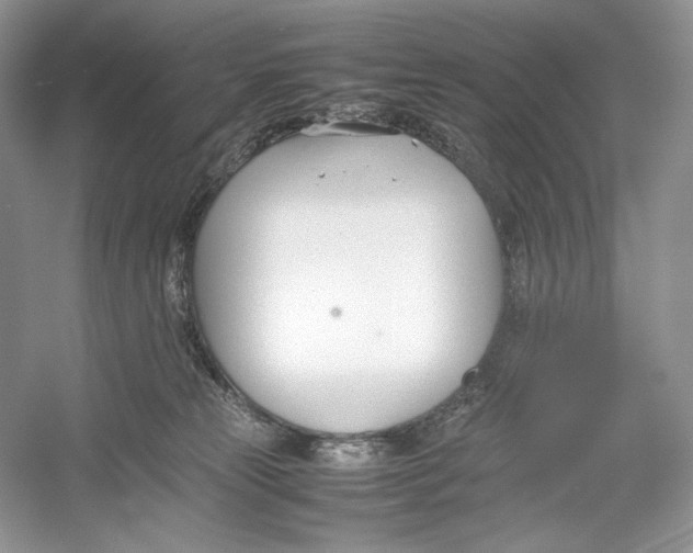 X0000052950181200508050932