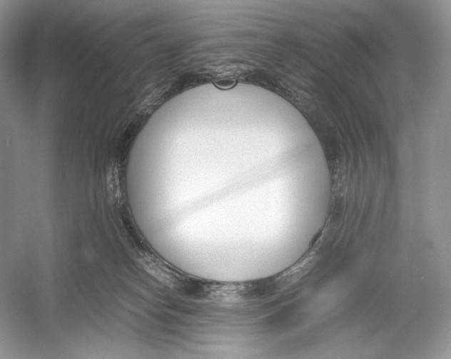 X0000052950182200508050932