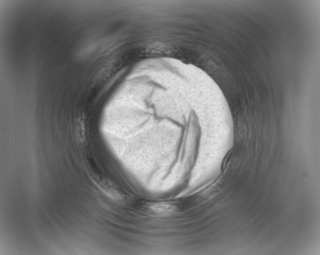 X0000052950183200508050932