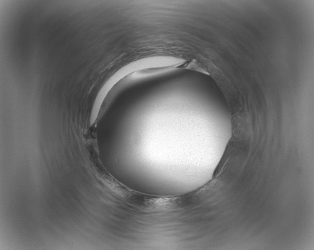 X0000052950184200508050932