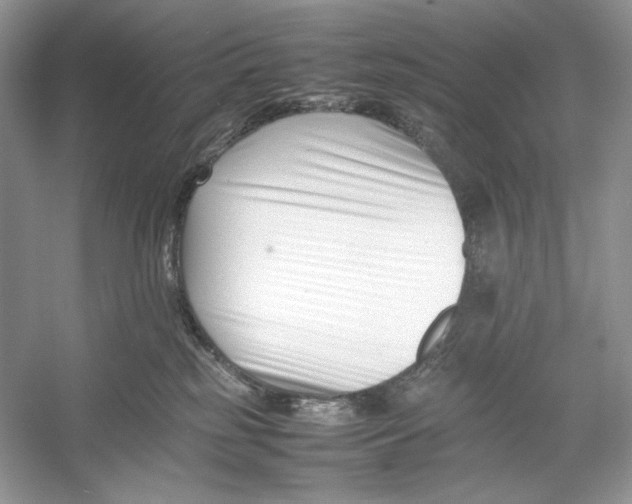 X0000052950185200508050932