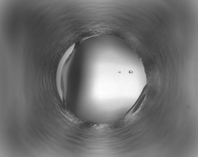 X0000052950186200508050932