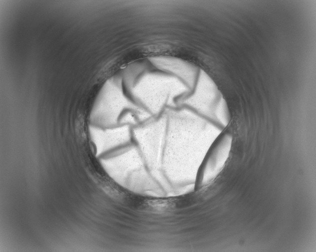 X0000052950187200508050932