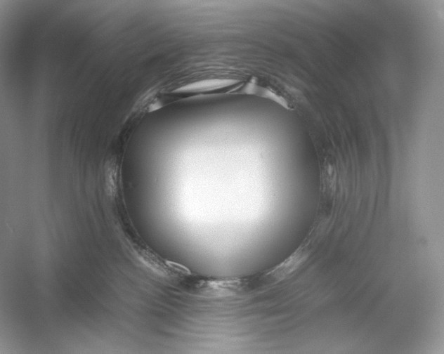 X0000052950188200508050932