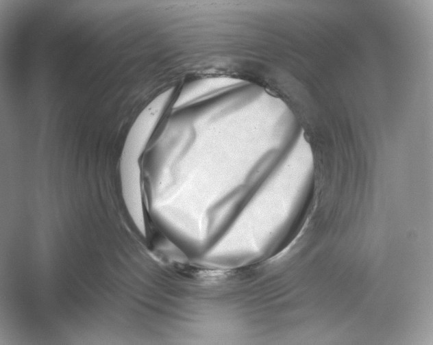 X0000052950192200508050932