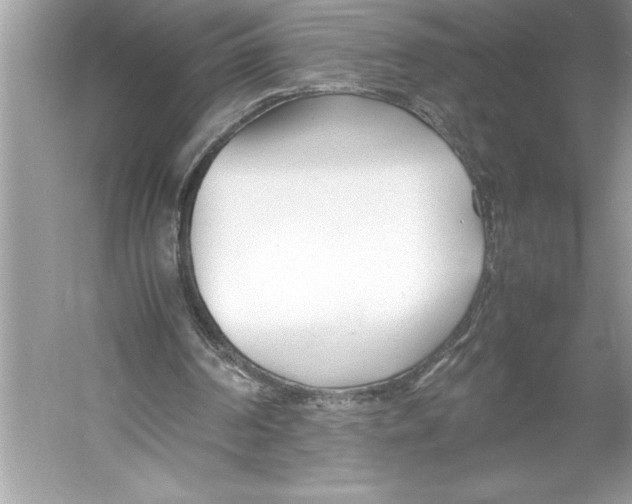 X0000052950194200508050931