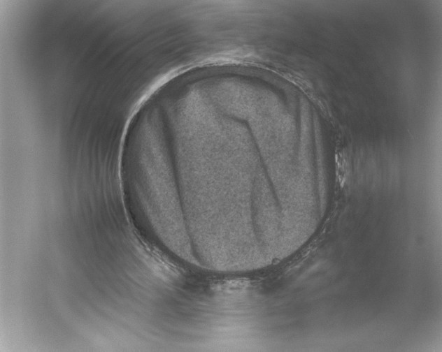 X0000052950196200508050931