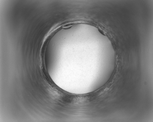 X0000052950198200508050931