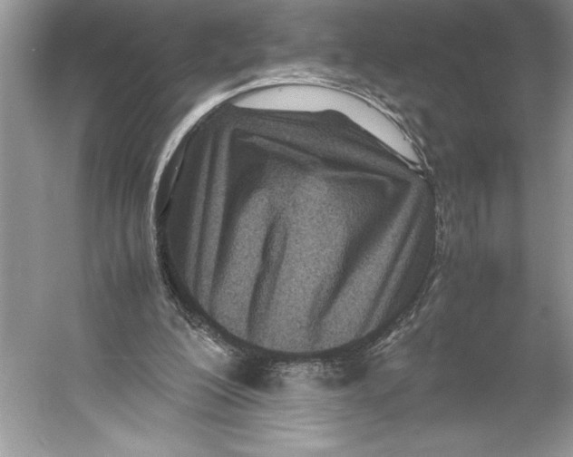 X0000052950200200508050931