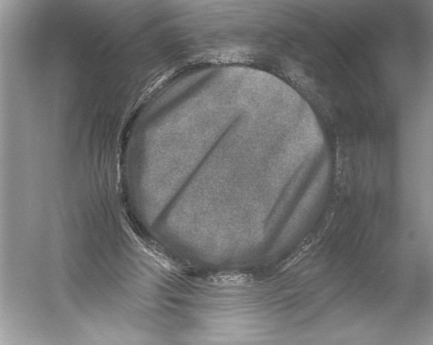 X0000052950202200508050931