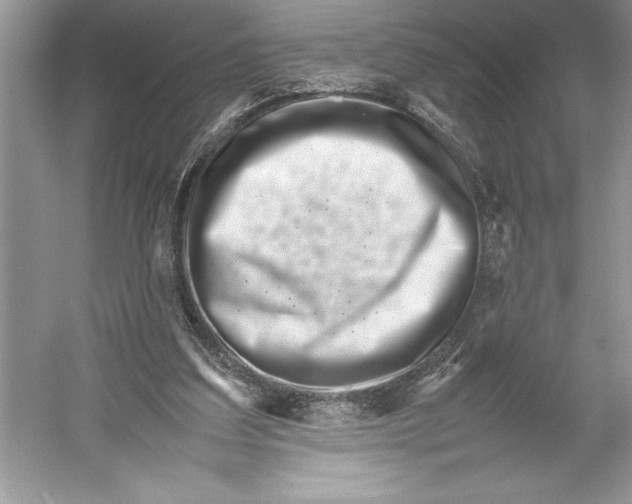 X0000052950203200508050931