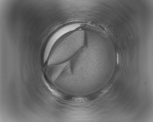 X0000052950205200508050931