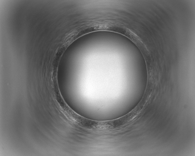 X0000052950209200508050931