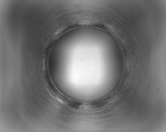 X0000052950211200508050931