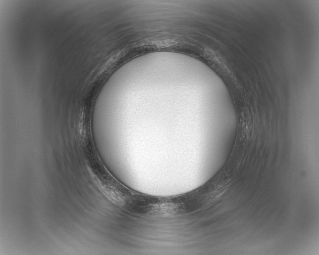 X0000052950212200508050931