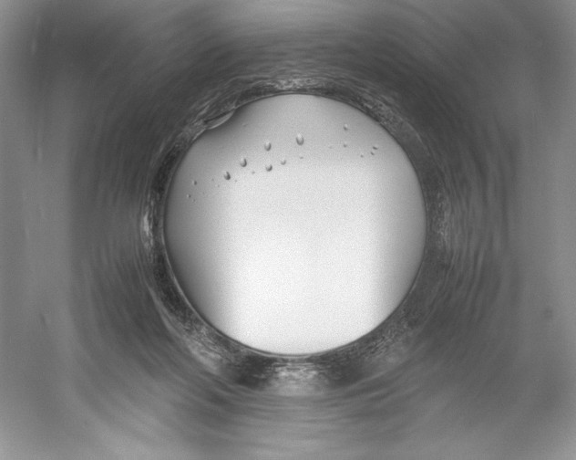 X0000052950214200508050931