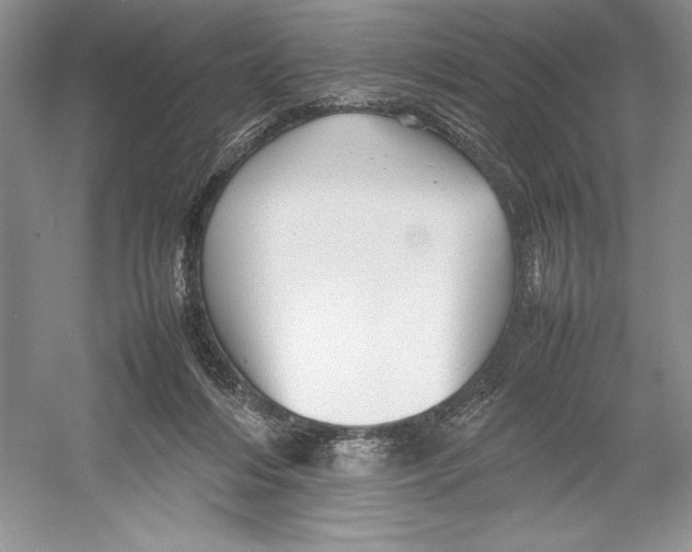 X0000052950216200508050930