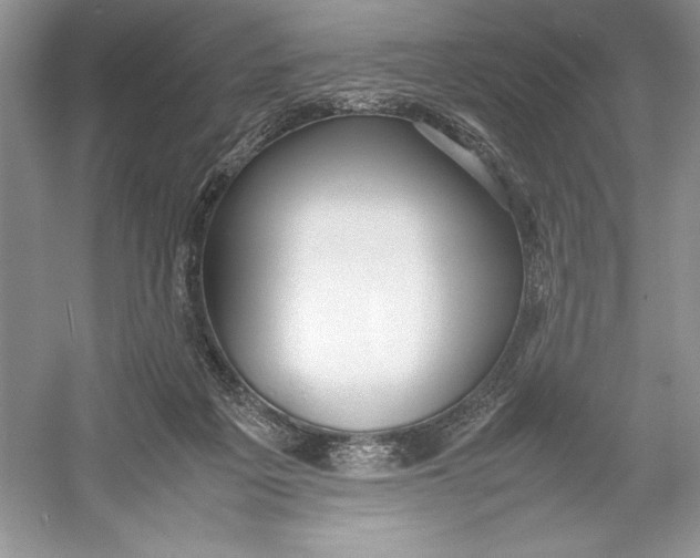 X0000052950217200508050930