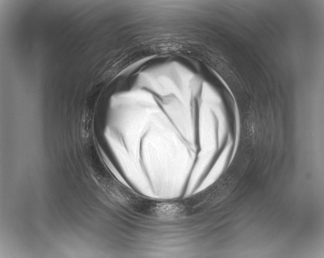 X0000052950218200508050930