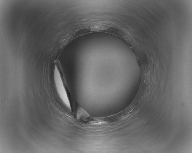 X0000052950219200508050930