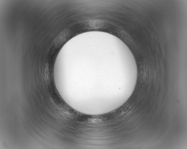 X0000052950220200508050930