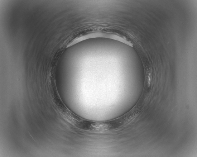 X0000052950221200508050930