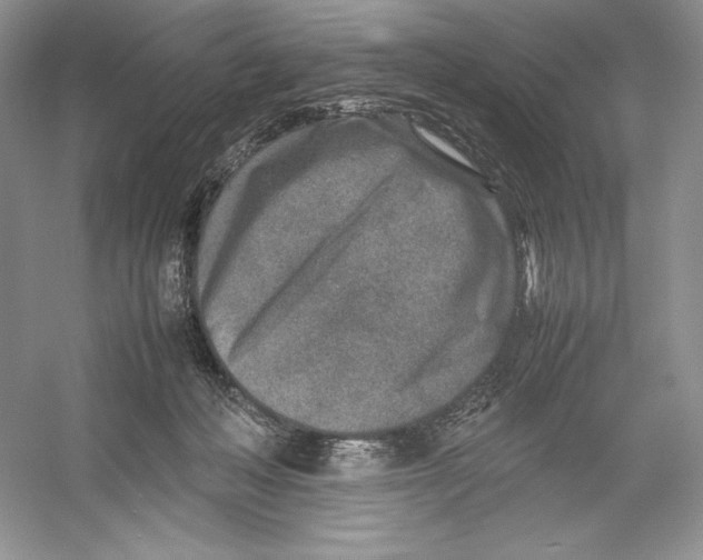 X0000052950222200508050930