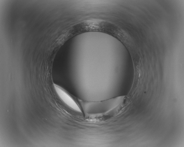 X0000052950223200508050930