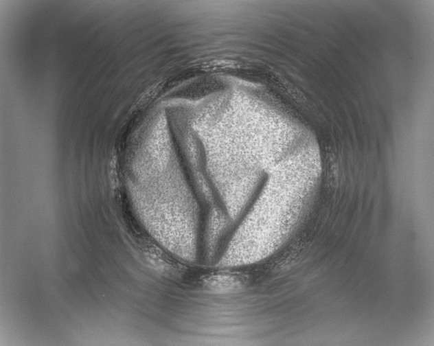 X0000052950224200508050930