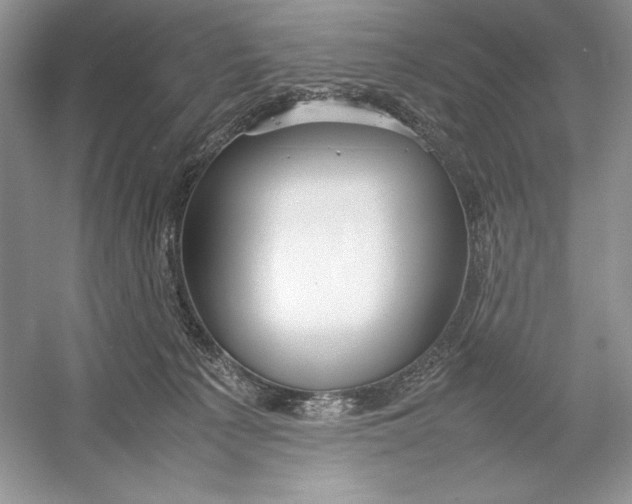 X0000052950225200508050930